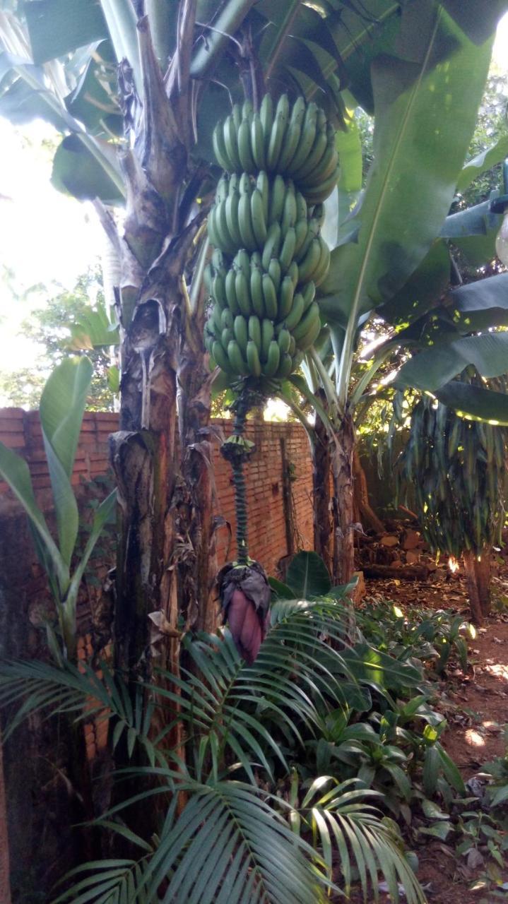 Posada María Iguazú Apartamento Puerto Iguazú Exterior foto